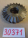 {E8B662D5-66BD-4123-A3F8-B8D41F797811}30371 (3).jpg Náhled obrázku