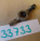 {673FF8B1-70A0-488D-BE18-8072C8979BE1}33733 (3).jpg Náhled obrázku