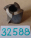 {CC0965B5-ABE9-4884-8DD1-5511505E9F58}32588 (3).jpg Náhled obrázku