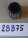 {2BC539D2-923E-41F2-919F-413C0E97FB9F}28875 (3).jpg Náhled obrázku