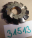 {A0492C5B-8974-4E4C-AFBD-48DE54C680F5}31513 (2).jpg Náhled obrázku